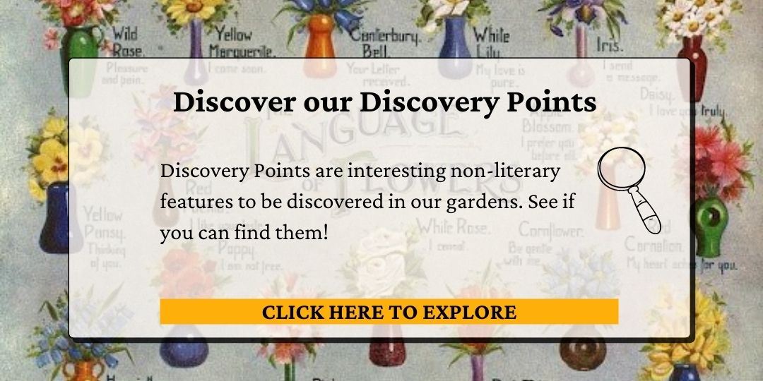 Click here to discover our discovery points.