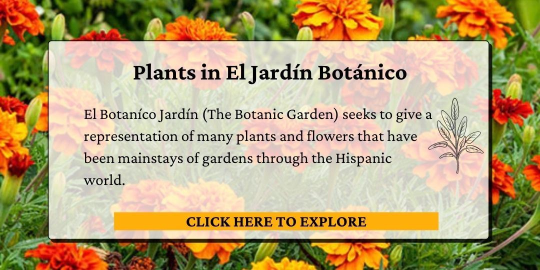 Click here to read out the plants in El Jardin Botanico.