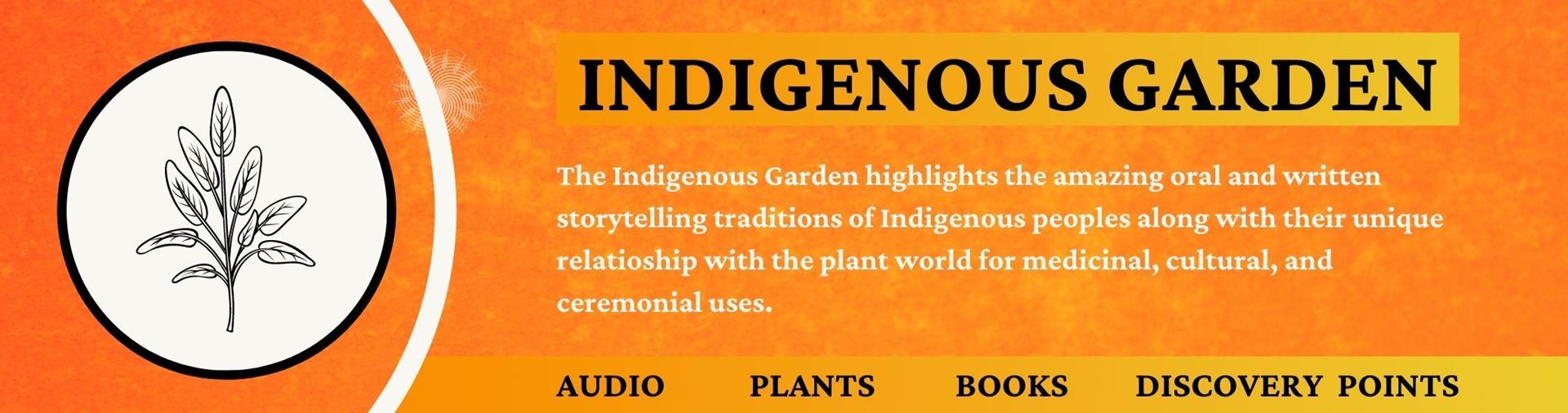 Indigenous Garden