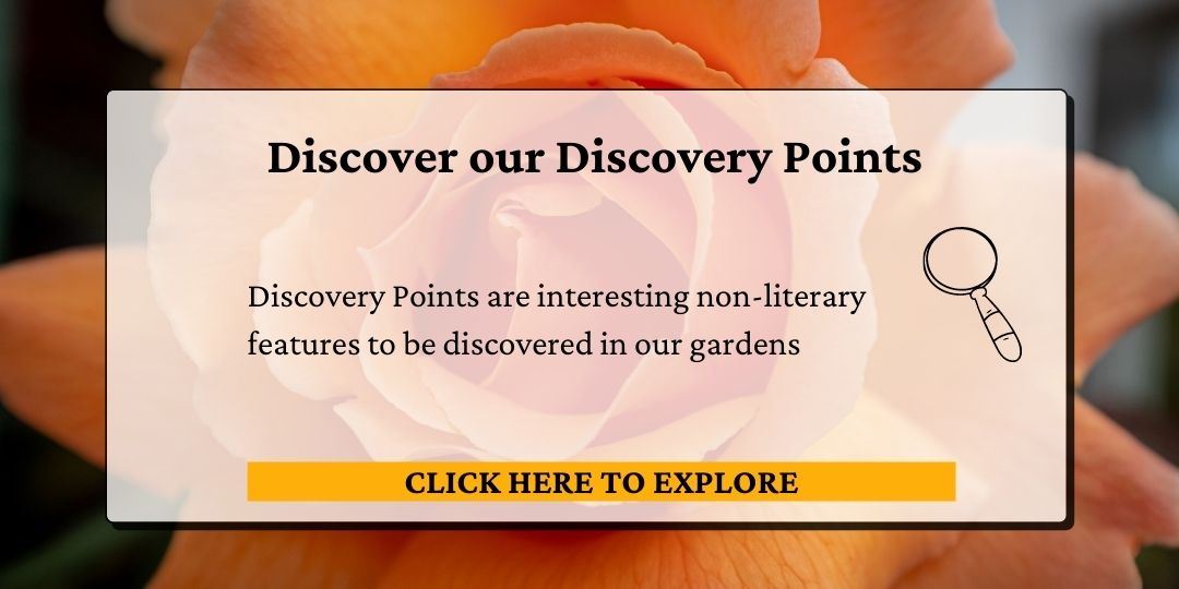 Click here to view our discovery points.