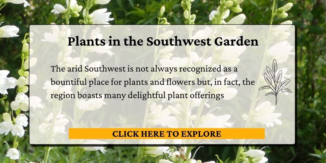 click here to view the plants in the Southwest Garden.